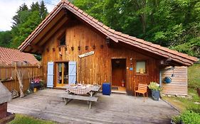Chalet Anemone